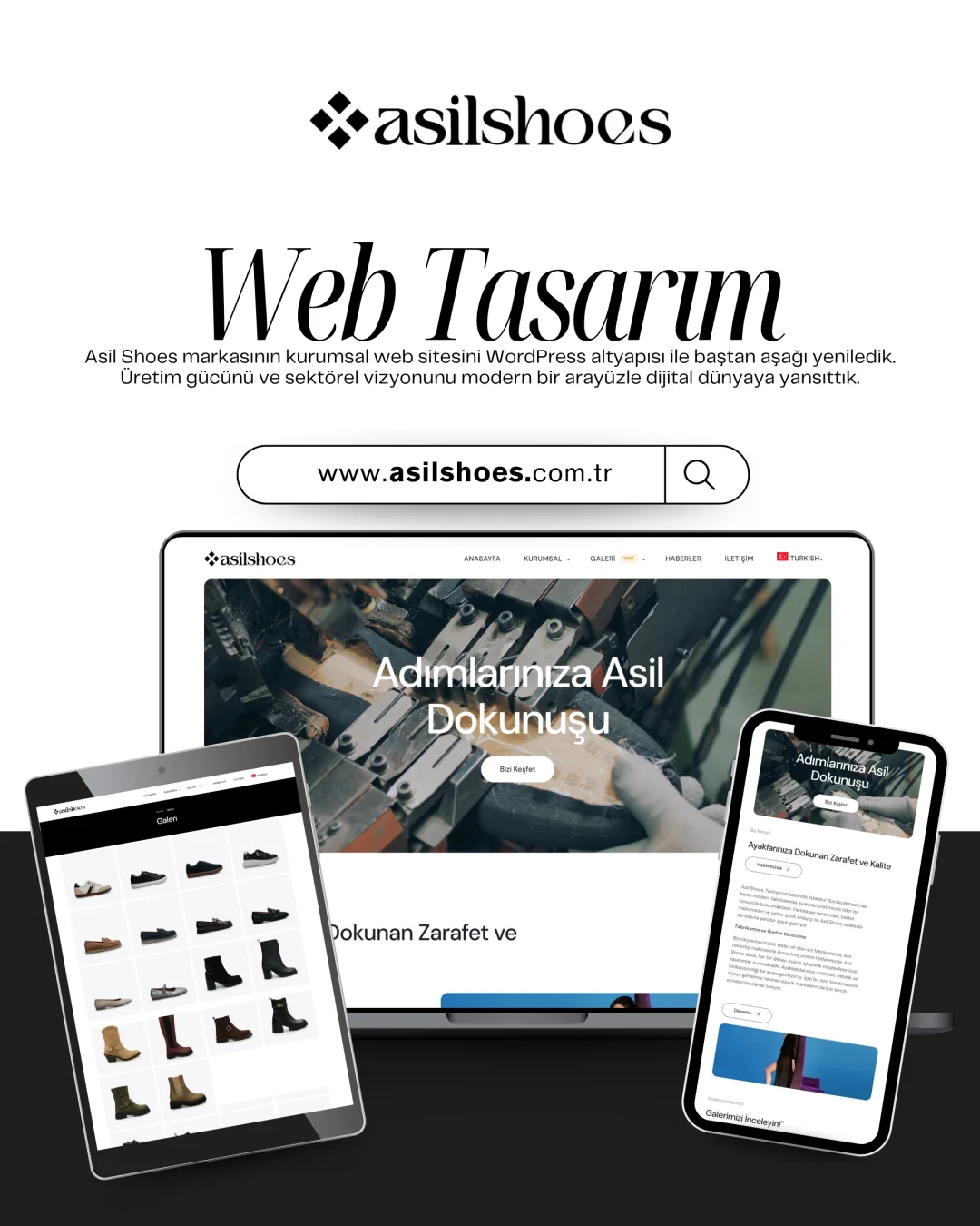 Asil Shoes Web Tasarım Hizmeti
